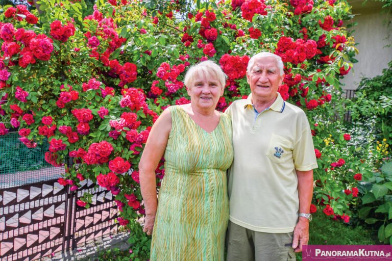 (ZDJĘCIA) Wspaniałe róże na Łęczyckiej. Piękny ogródek Państwa Cieślaków
