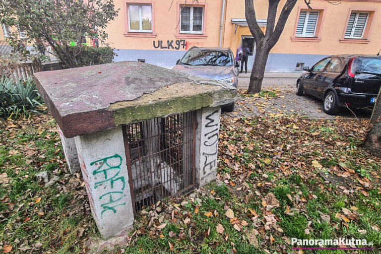 Kontrolują schrony w Kutnie. „Potrzebny jest pełny remont” [ZDJĘCIA]