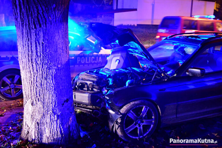 Auto rozbiło się na drzewie, na miejscu wszystkie służby [ZDJĘCIA]