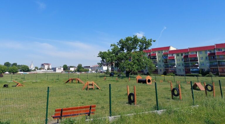 W Kutnie powstanie kolejny wybieg dla psów? Pismo trafiło do prezydenta