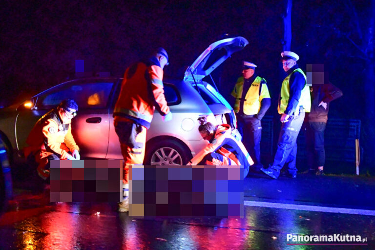 Śmierć 22-latka pod Kutnem. Policja poszukuje świadków i ma ważny apel