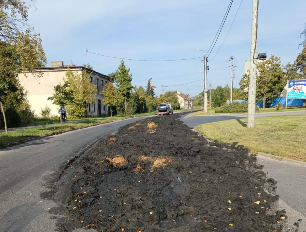 Zdjęcie WhatsApp 2024-09-24 o 10.08.32_9044e927