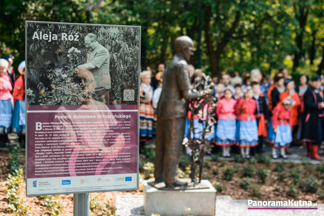 wituszynski-roze