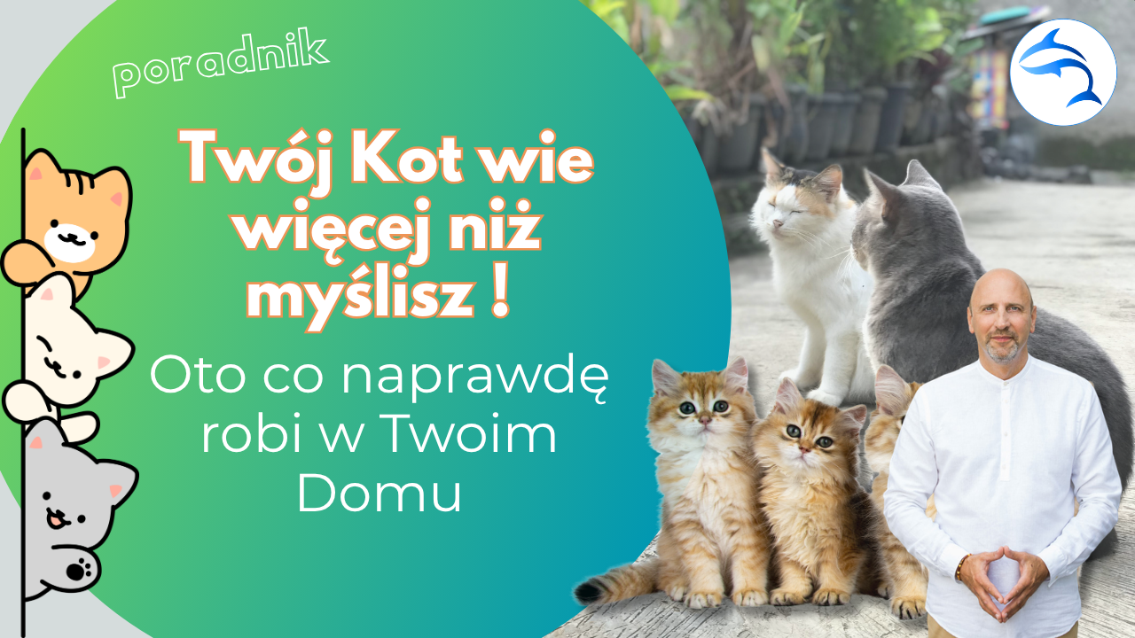 Twój kot wie więcej niż myślisz. Oto co naprawdę robi w Twoim domu ...