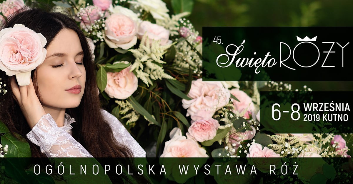 67330420_2425945734107727_1446314800815538176_o