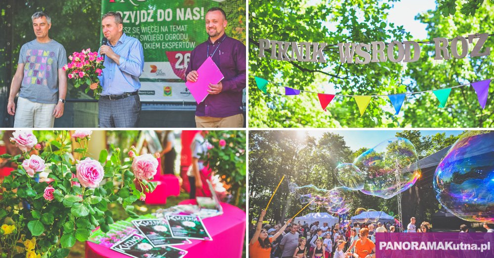 piknik-wsrod-roz-2019-www